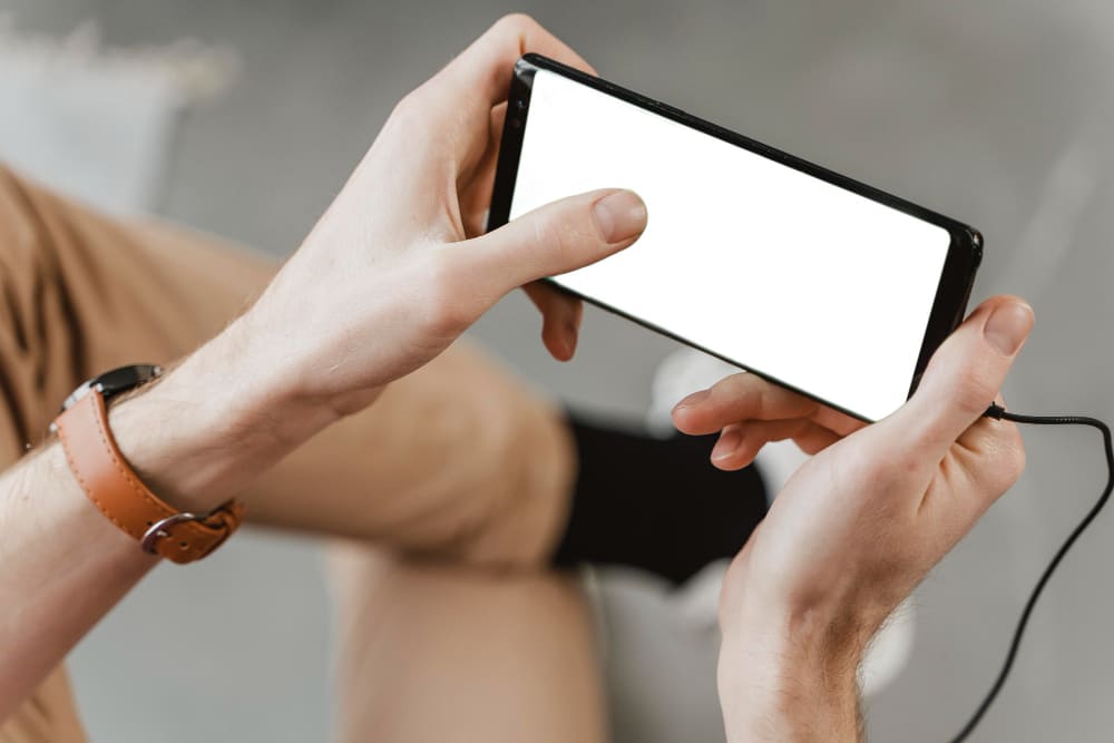 What is a Season Pass for a Game (2)